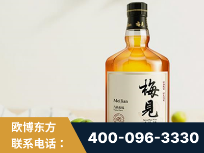 常熟-梅见青梅酒